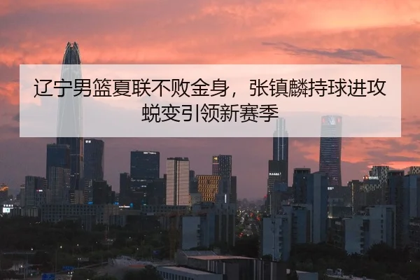辽宁男篮夏联不败金身，张镇麟持球进攻蜕变引领新赛季