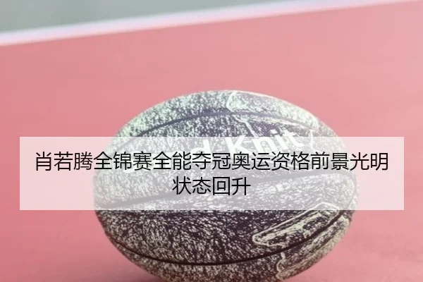 xiao-ruo-teng-quan-jin-sai-quan-neng-duo-guan-ao-yun-zi-ge-qian-jing-guang-ming-zhuang-tai-hui-sheng-2-480.jpg
