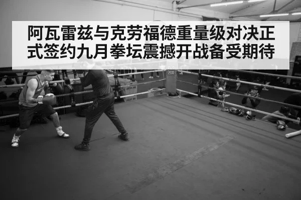 boxer training gym